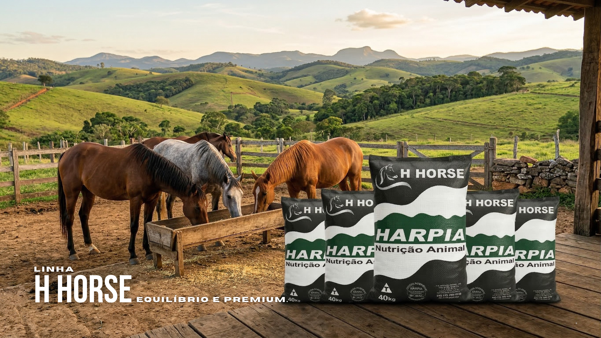 Linha H Horse