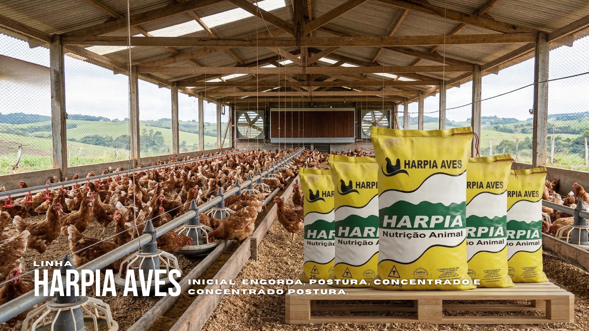 Linha Harpia Aves
