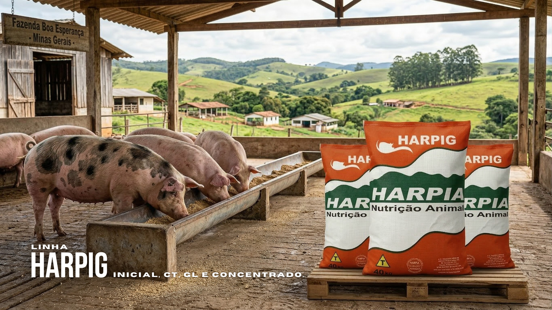 Linha Harpig